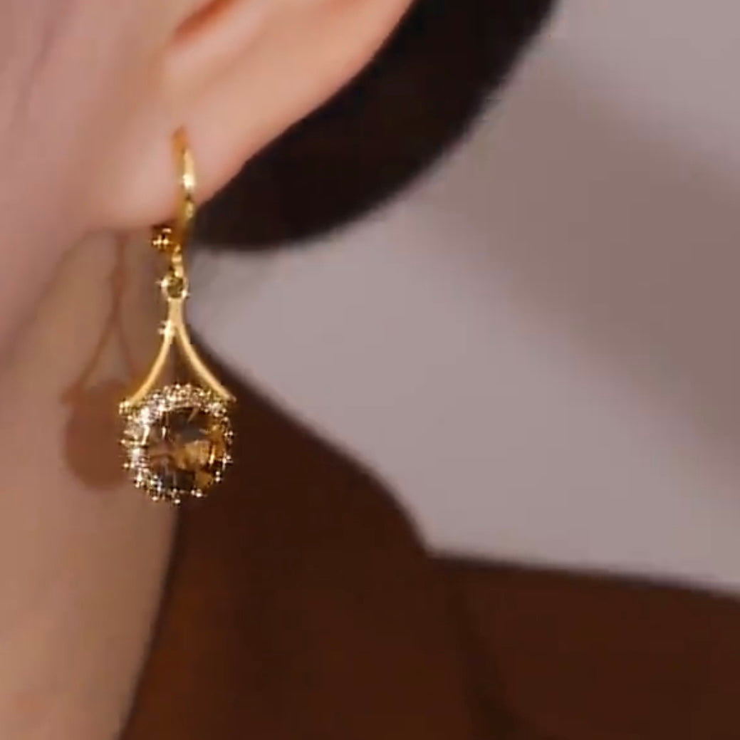Boucles d'oreilles rondes élégantes pour femmes, ornées de micro-diamants bruns